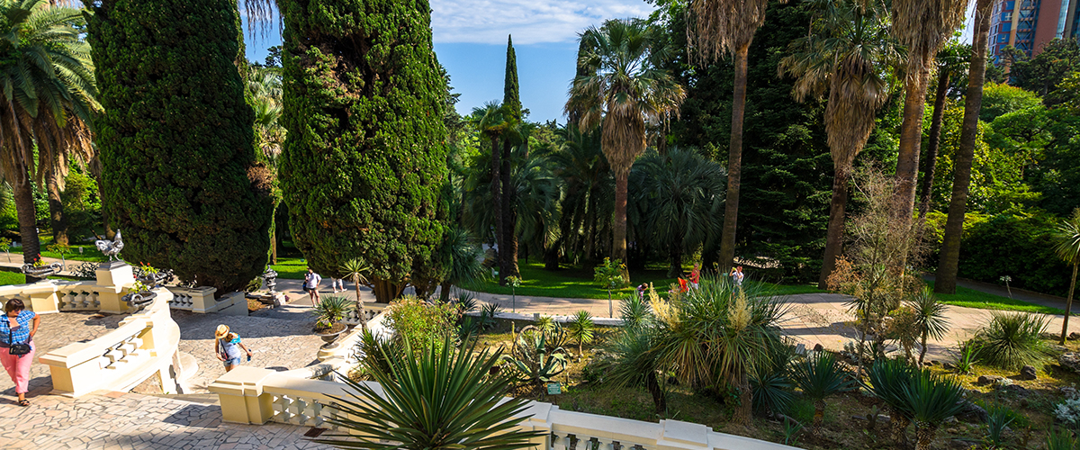 Парк дендрарий Сочи - вечноцветущий сад