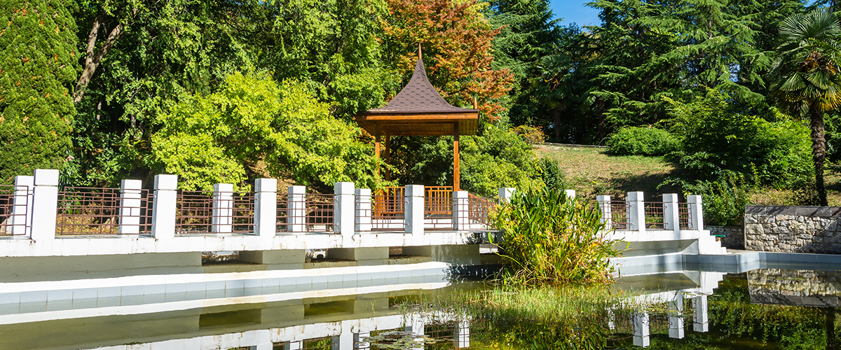 Китайский дворик дендрарий