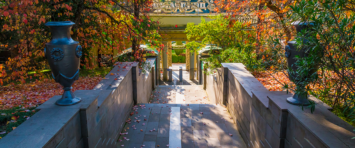 Нижняя часть парка дендрарий